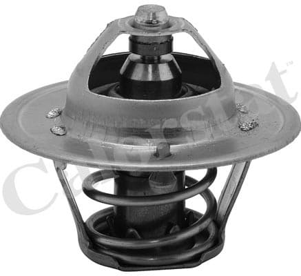 Thermostat/calorstat