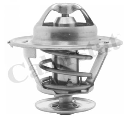 Thermostat/calorstat