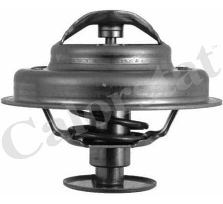 Thermostat/calorstat