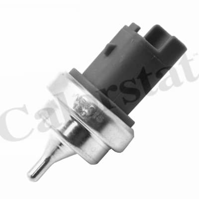 Thermostat/calorstat