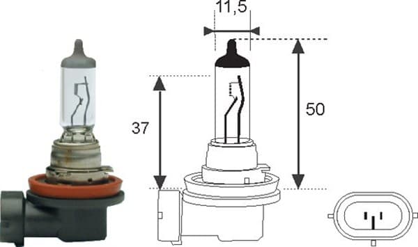 Ampoules
