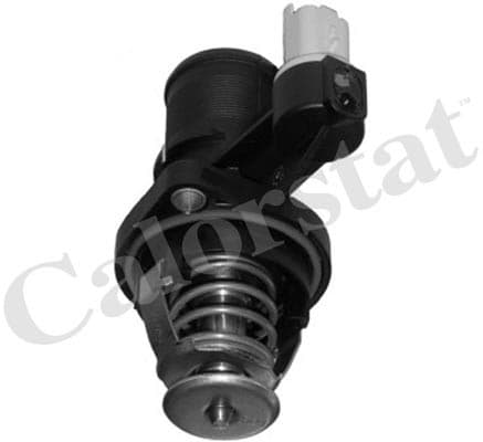 Thermostat/calorstat