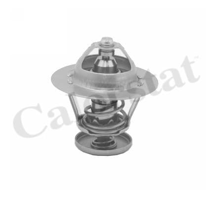Thermostat/calorstat