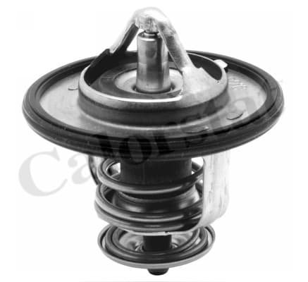 Thermostat/calorstat
