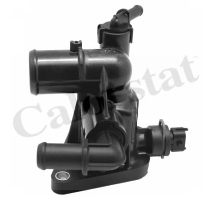 Thermostat/calorstat
