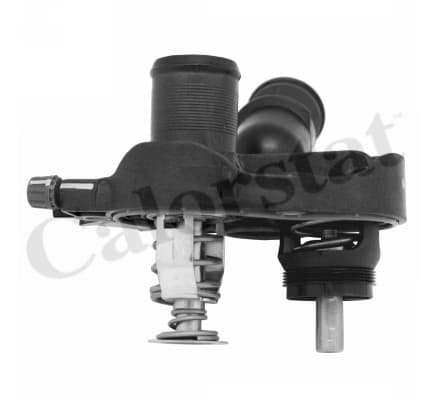 Thermostat/calorstat
