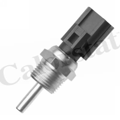 Thermostat/calorstat