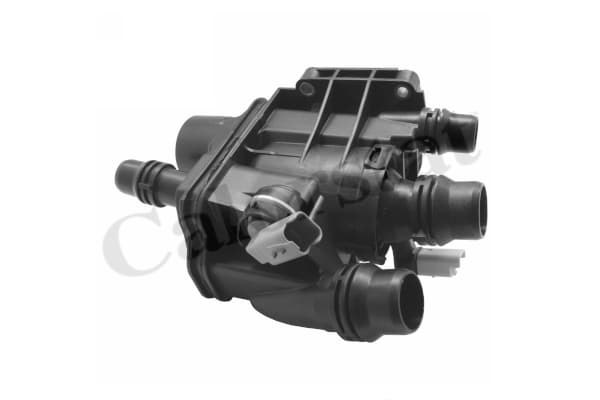 Thermostat/calorstat