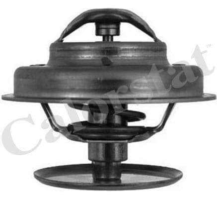 Thermostat/calorstat