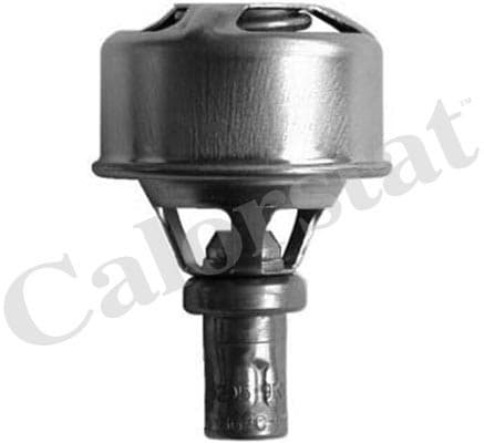 Thermostat/calorstat
