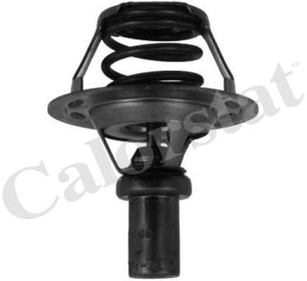 Thermostat/calorstat
