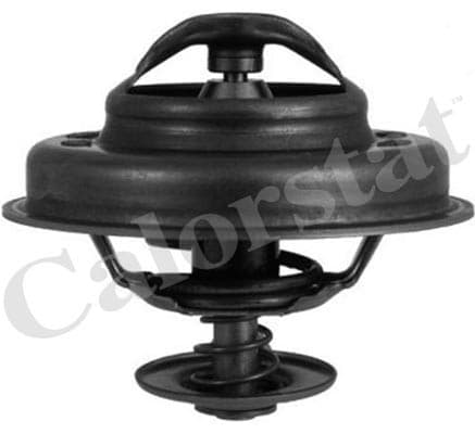 Thermostat/calorstat