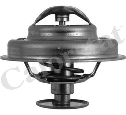 Thermostat/calorstat