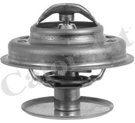 Thermostat/calorstat