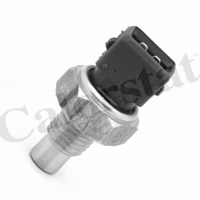 Thermostat/calorstat