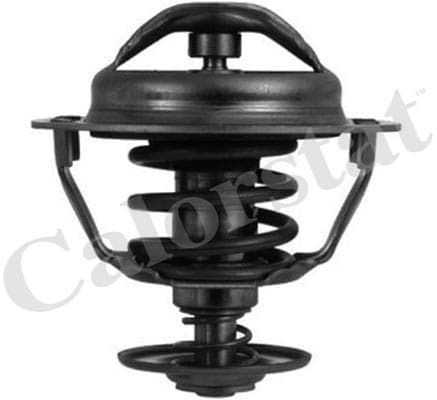 Thermostat/calorstat