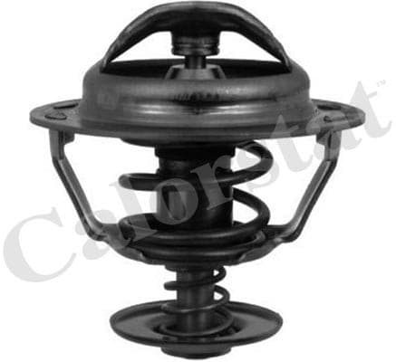 Thermostat/calorstat