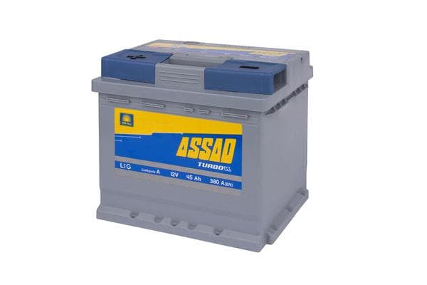 BATTERIE DE DÉMARRAGE L1G