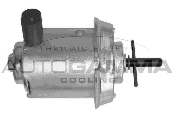 Ventilateur, refroidissement du moteur