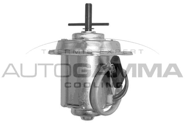 Ventilateur, refroidissement du moteur