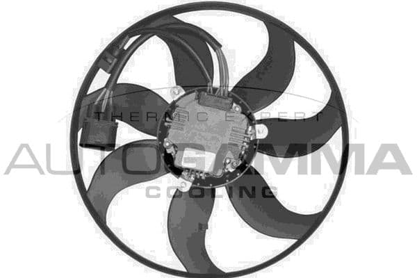 Ventilateur, refroidissement du moteur