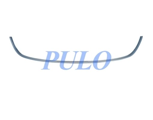 Moulure de grille de pare-chocs (chrome)