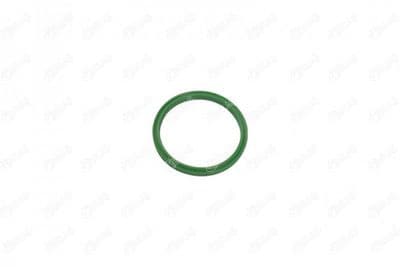 Bague d'étanchéité, gaine de suralimentation