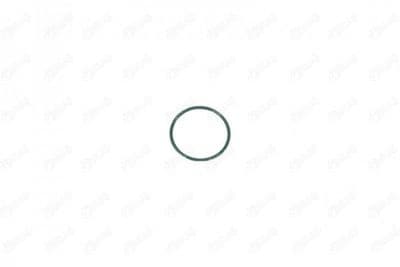 Bague d'étanchéité, gaine de suralimentation