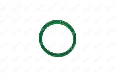 Bague d'étanchéité, gaine de suralimentation