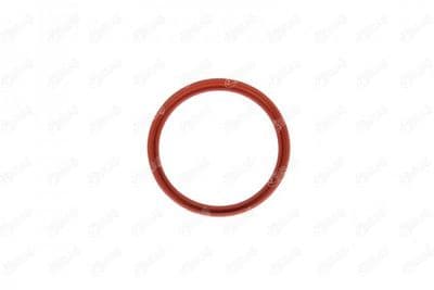 Bague d'étanchéité, gaine de suralimentation