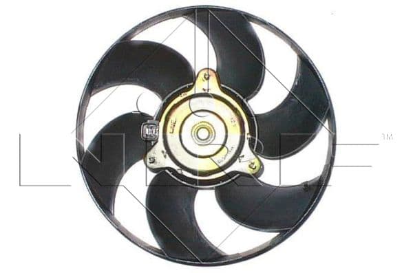 Ventilateur de radiateur