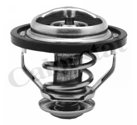 Thermostat/calorstat