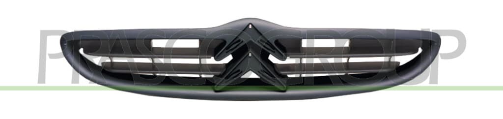 Grille de radiateur