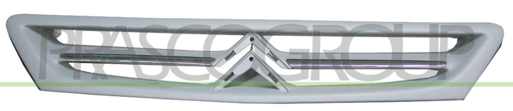 Grille de radiateur