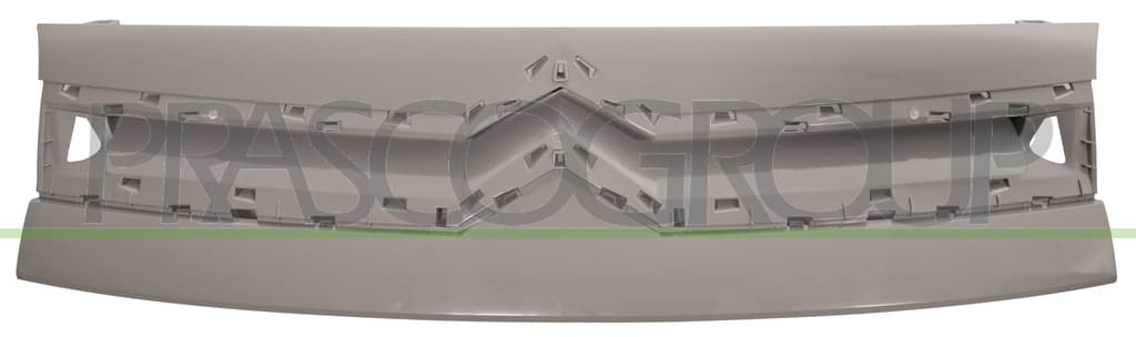 Grille de radiateur