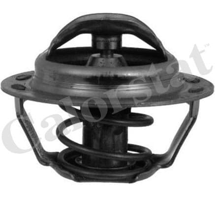 Thermostat/calorstat