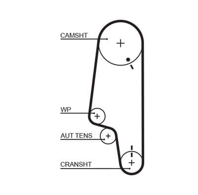 Courroie de distribution PowerGrip®