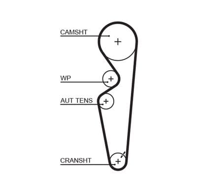 Courroie de distribution PowerGrip®