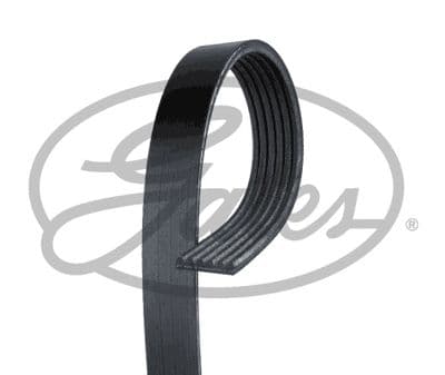 Courroie trapézoïdale à nervures FleetRunner™ Micro-V®
